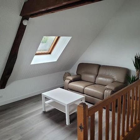 Appartement Avec Vue Sur Loire 블루아 외부 사진