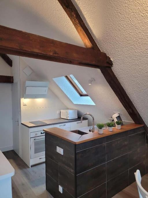 Appartement Avec Vue Sur Loire 블루아 외부 사진