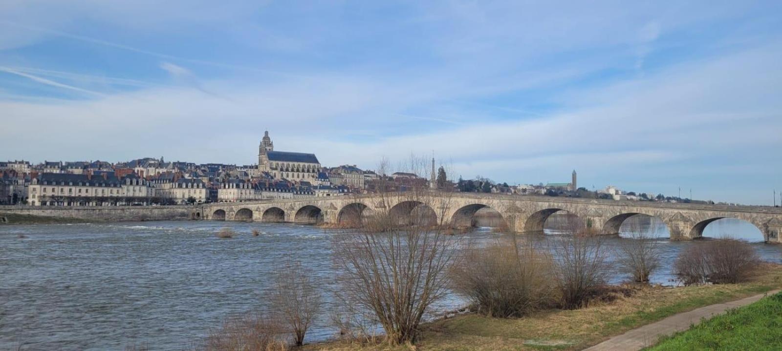 Appartement Avec Vue Sur Loire 블루아 외부 사진